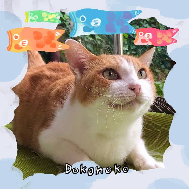 32349b33 93cb 4ae0 8c36 63718b5bb1ec 1749105066818