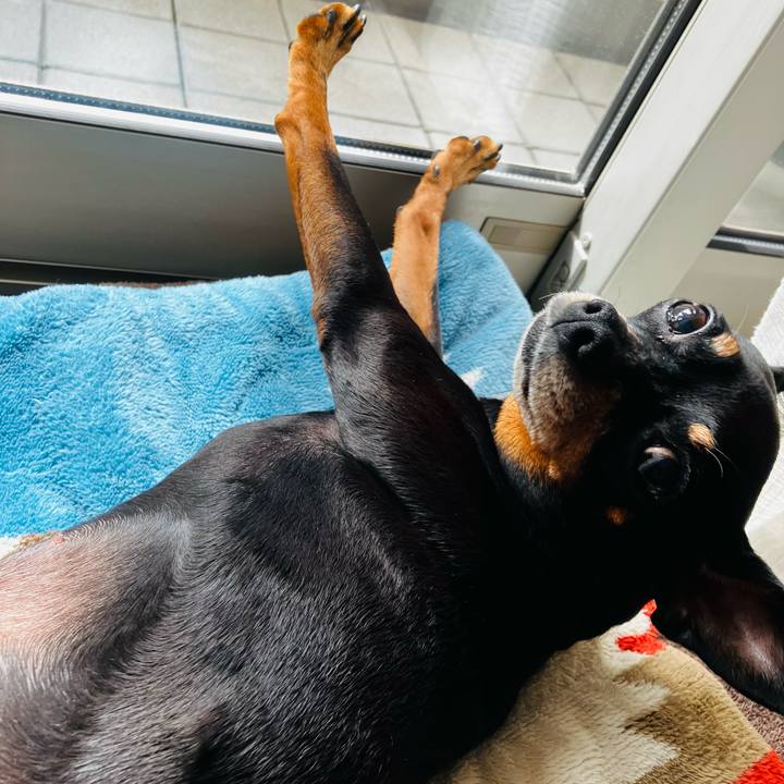 3234b892 1c04 4fbe 9505 86d01db80f7f 1759879706108