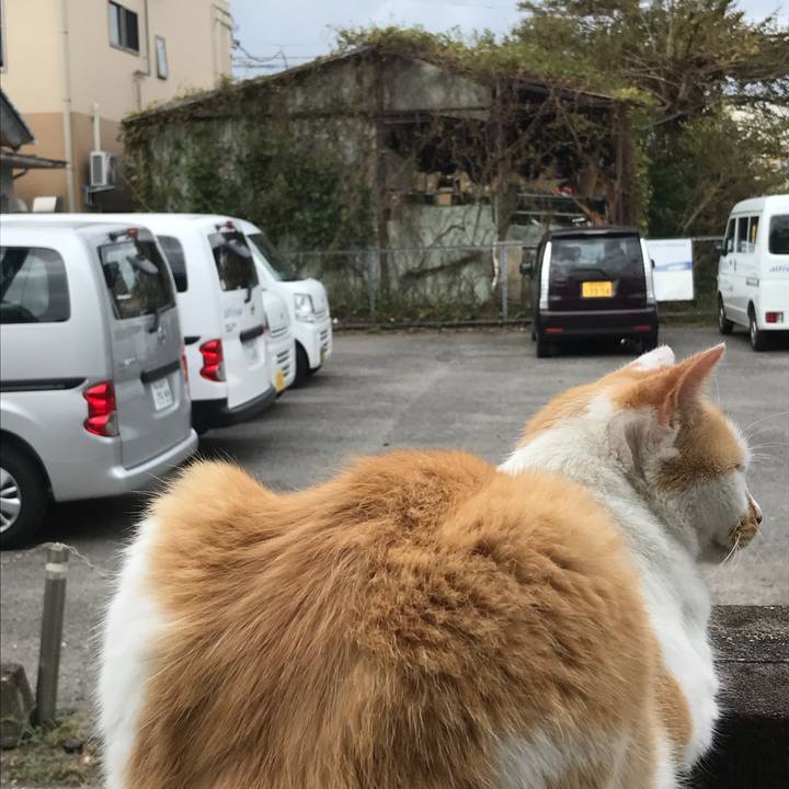 3234c004 f7dd 4590 a3f7 274e59fd6ccb 1568441315279