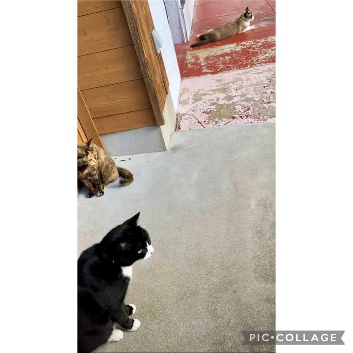 3234debc bf76 4edc 9a0c 7ae182152c91 1733282598377