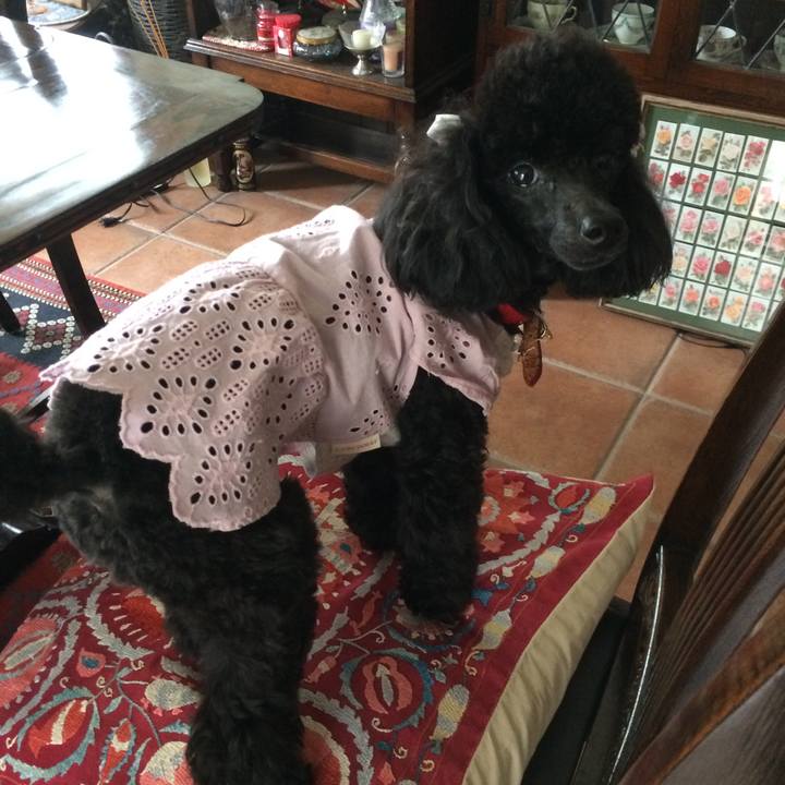 32350c7c 9147 454a b914 f36fb87cc5b7 1527549073751