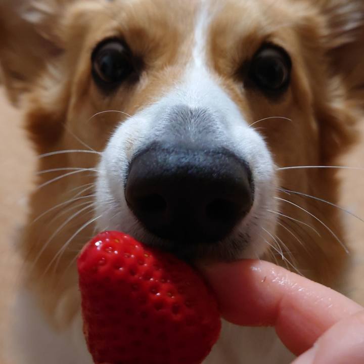 32353faa 395b 4c7f b929 1d6d82fee49e 1773506196124