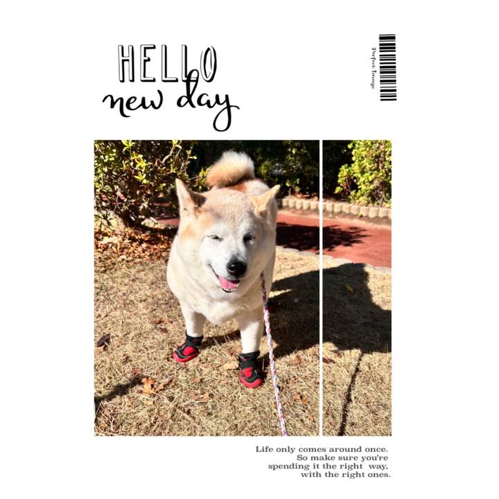 32354c8c d8f3 41d3 b504 7406854836dc 1747843377349