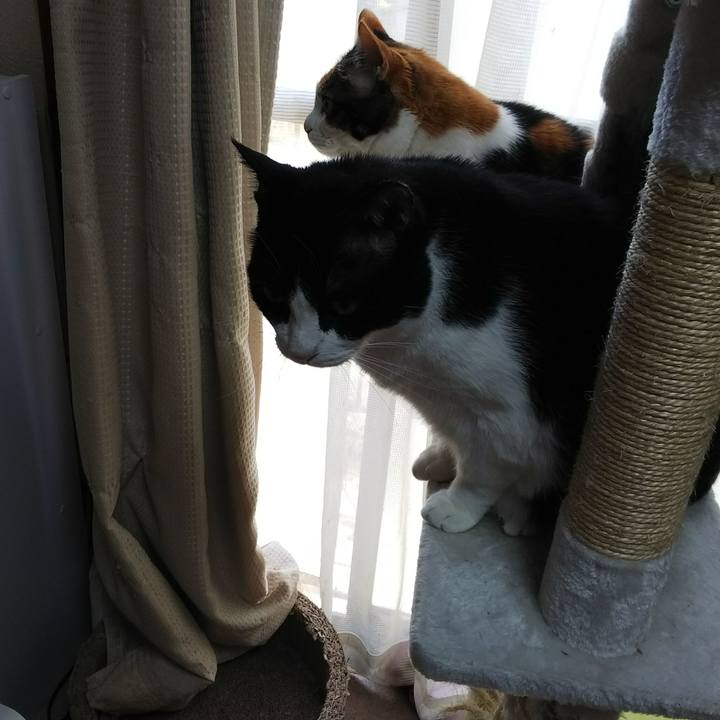 323555be f7ad 451a a3d6 a9413e6d0fef 1525523523410