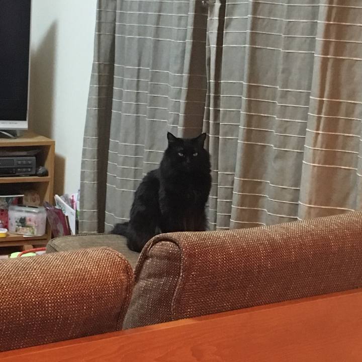 3235807b ba18 4e1a a339 7ddd42c02e8e 1516795090916