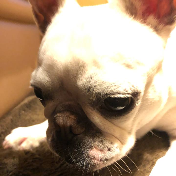 323589d0 6ba5 4217 add0 a1e080561c58 1611838696288