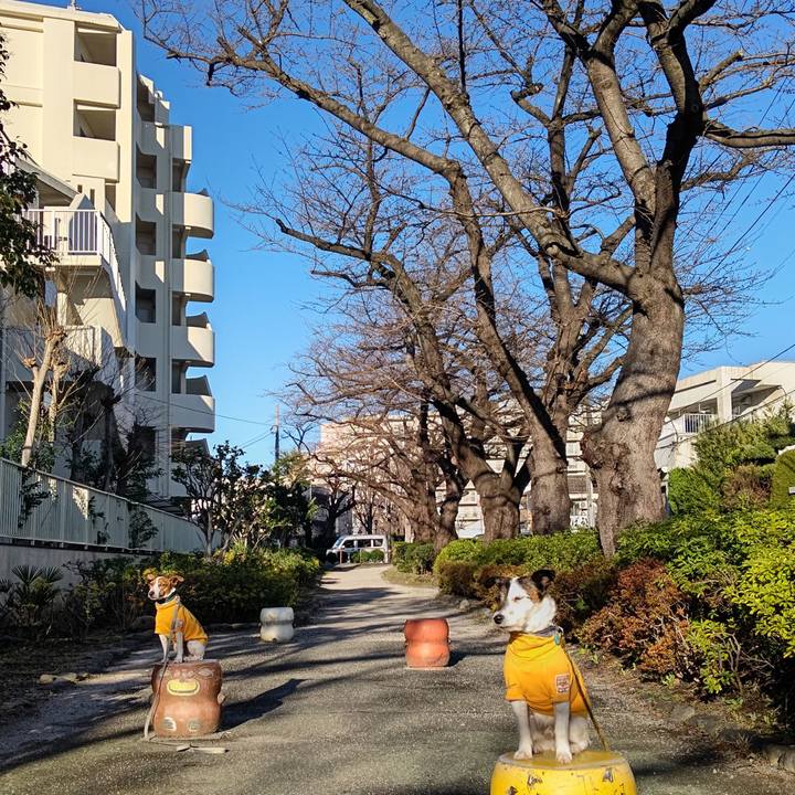 32358e4e e4ed 4660 8899 8dedcbe8a45d 1711490629590