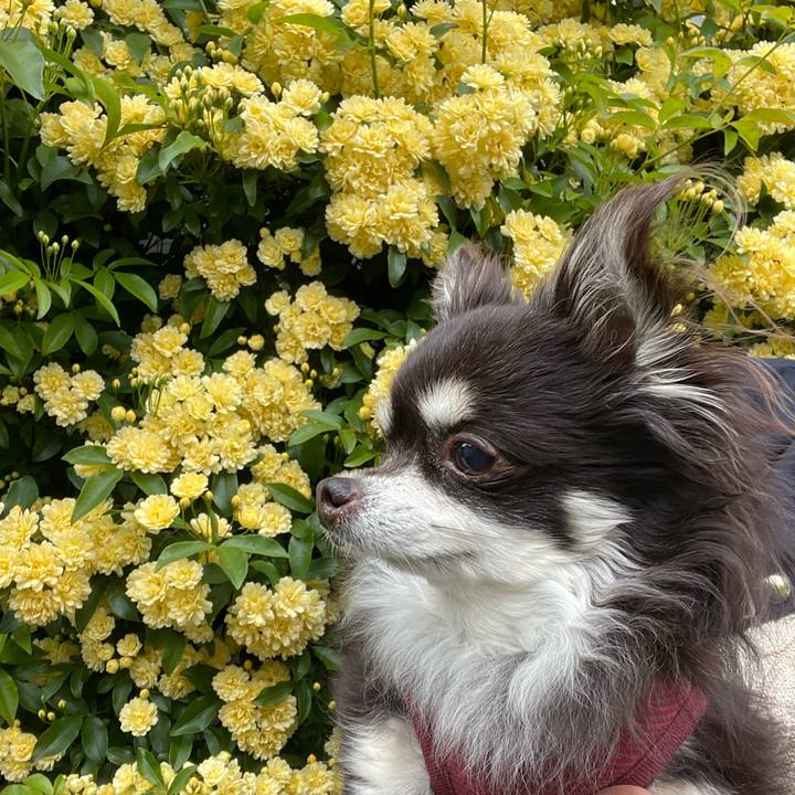 3235fba0 5617 4dbe b722 553557a572ae 1745300945764