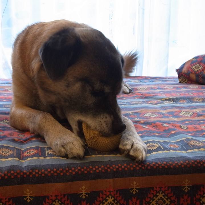 32360eb2 e13b 4e14 bd8e 6e109a21db9f 1584491524315