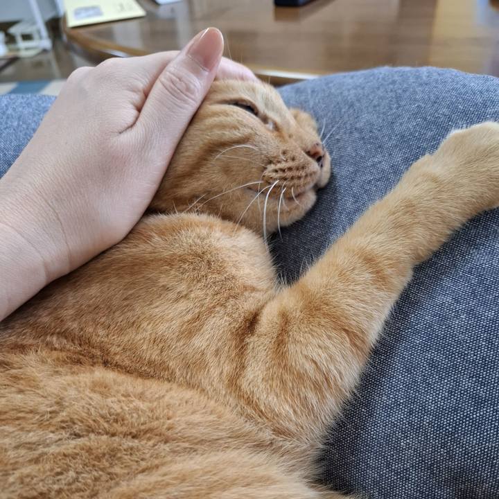 323630ef b14a 4199 856e 16a14ce1619e 1726628403305