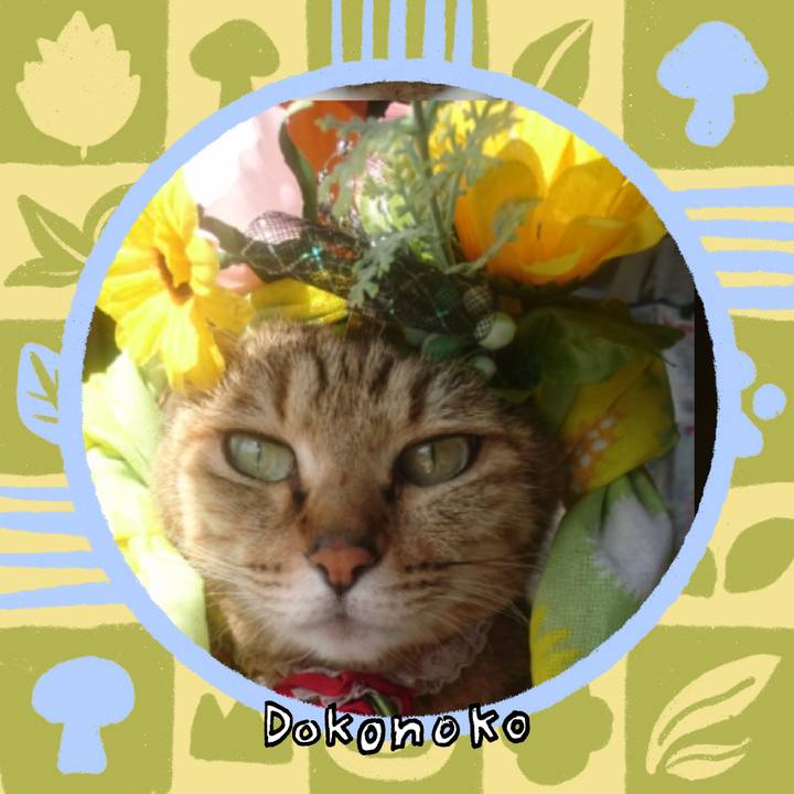 323667cb af82 4a52 90f1 981bc39555f9 1763162988721