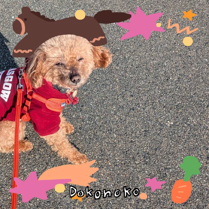 32367e90 d96e 49a1 afca 95d3225cac9b 1772455117420