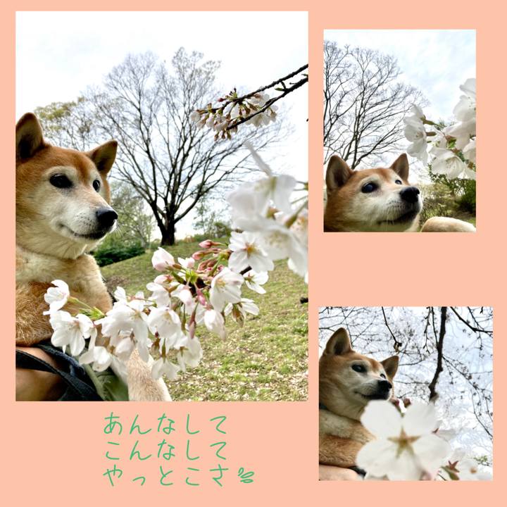 323688b7 8e93 4bb7 b19a 44255d902f3d 1712204738113