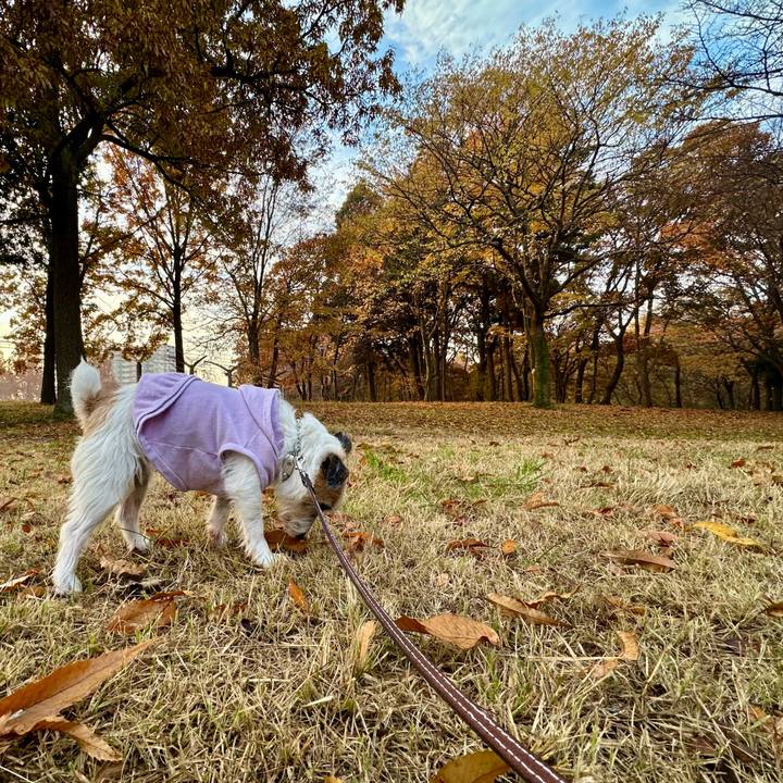 32369d15 ed6e 4f1a a379 2e187b511120 1733304547284