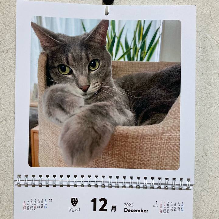 3236abf1 1e85 4eb8 b3ed 5b3373dd59dc 1669867218492