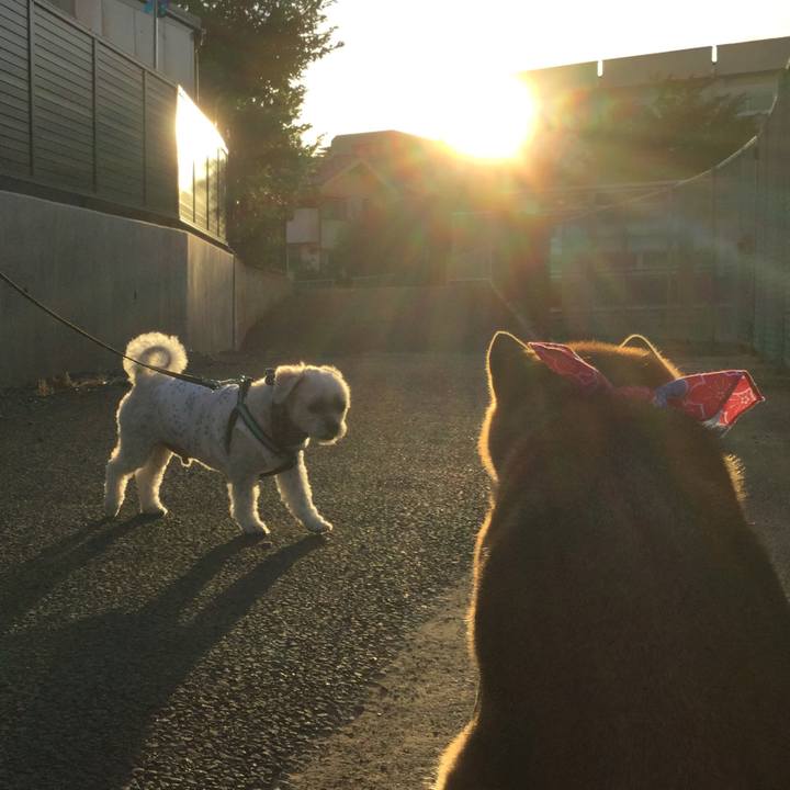 3236ac1b 6e5f 4b40 b1ff 29c6e9599669 1565004182811