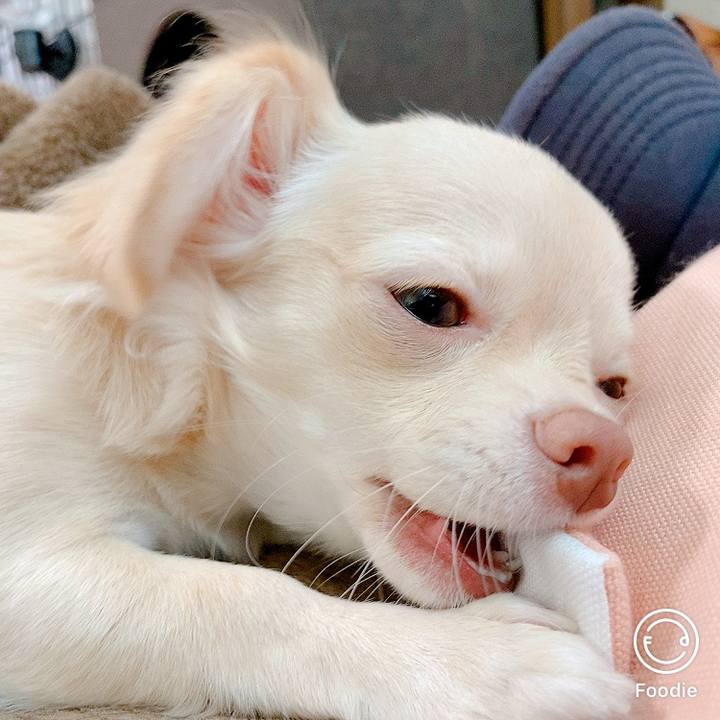 3236bcfa 650f 488d bc31 e052d37b4c2a 1597744912090