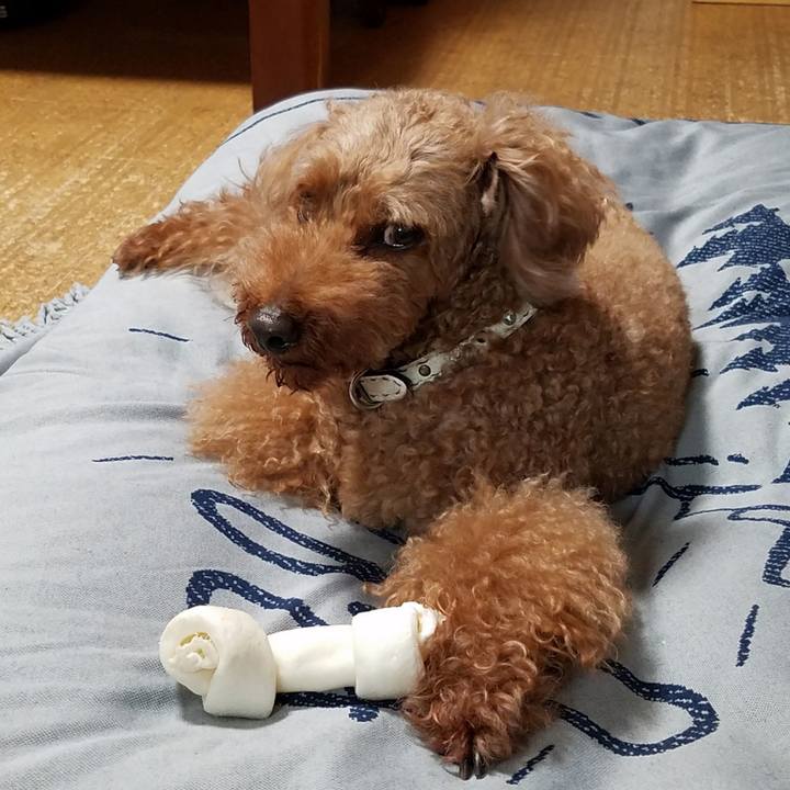 3236c834 36ab 4661 9e1e 563c838d59f0 1564193263342