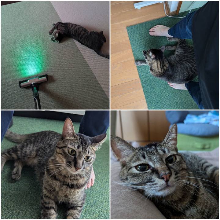 3236d093 0a4c 4116 b18e 6be155e57510 1727775415131