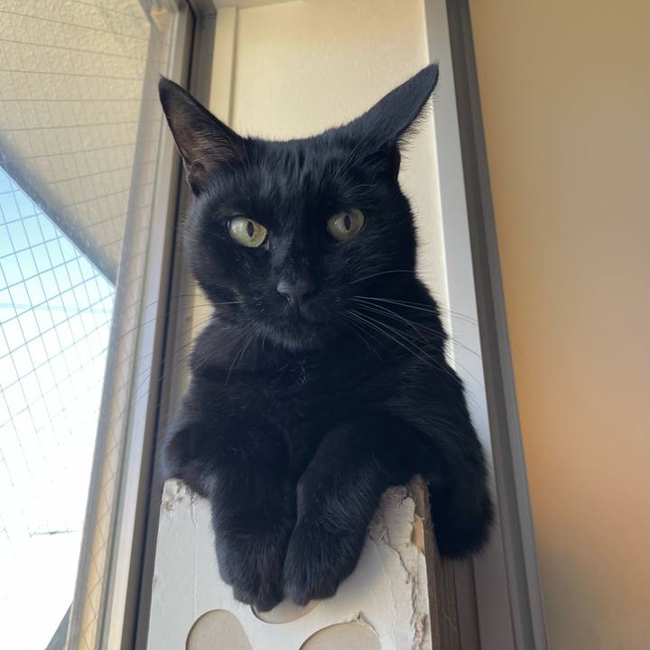 32376818 8b87 40d3 8031 feb287b94464 1762256840005