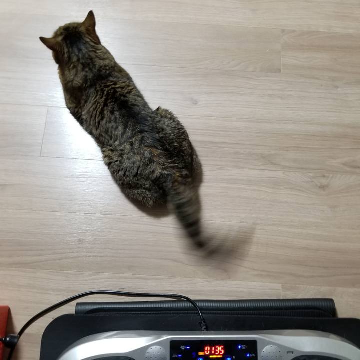 3237797b 9ce1 44d4 8163 09dd6d67e431 1612129104882