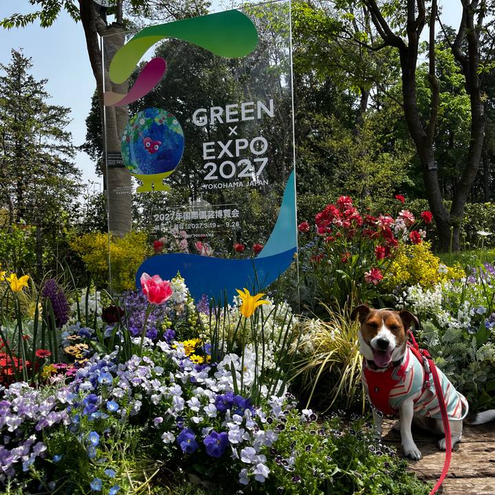 3237a16a f238 4c2e b3e7 2165a0d25e5e 1745055992972