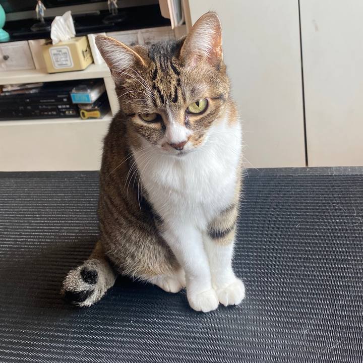 3237e430 0901 4184 8403 9d14133f298a 1587006959369