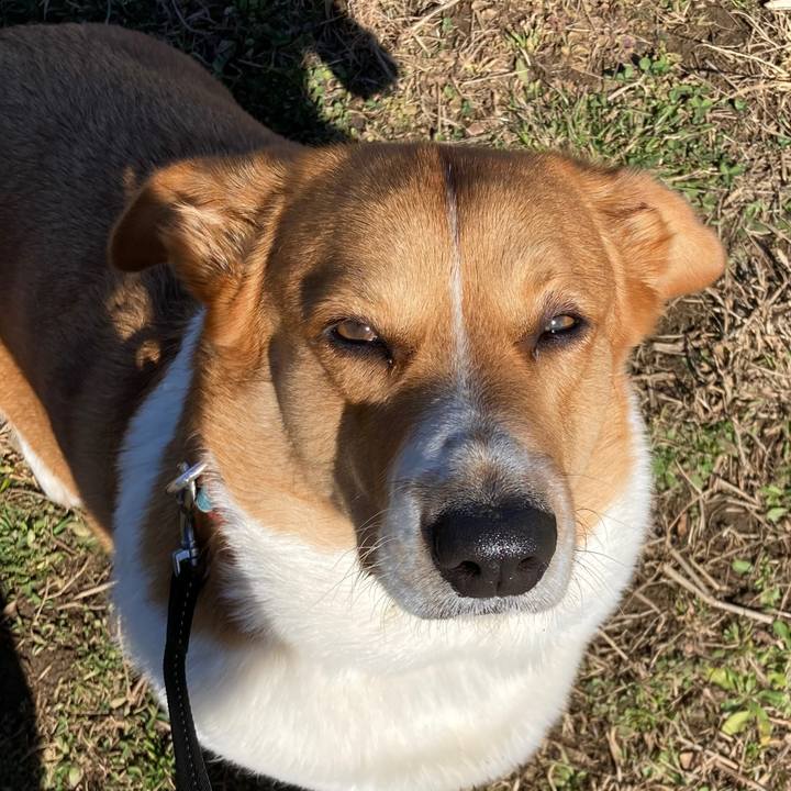 3237f659 ed34 435f 8b65 f3b3a06fb7b2 1676516135533