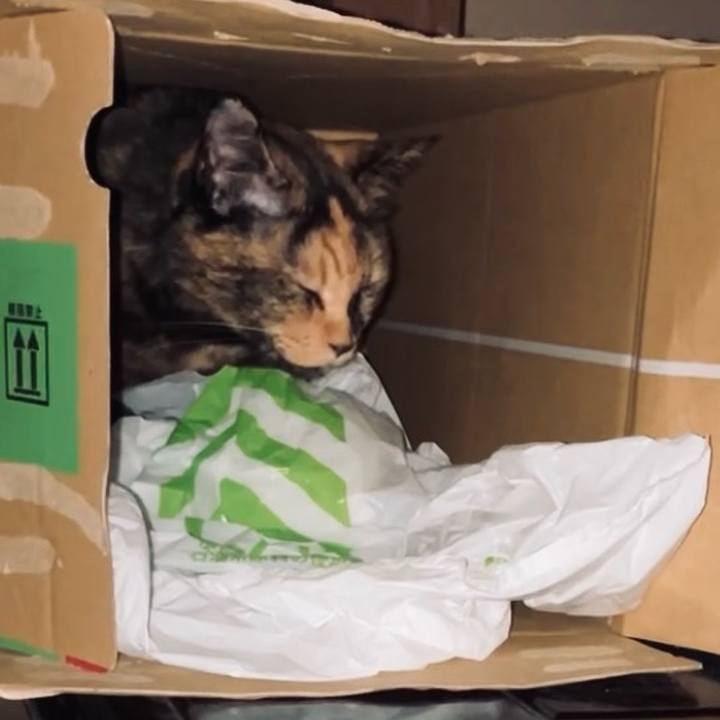 32381e88 2336 4531 99d6 12fa099cb119 1729281447223