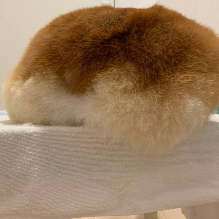 32382de9 30f8 4982 aa09 21d8e1dd0fe5 1683724390102