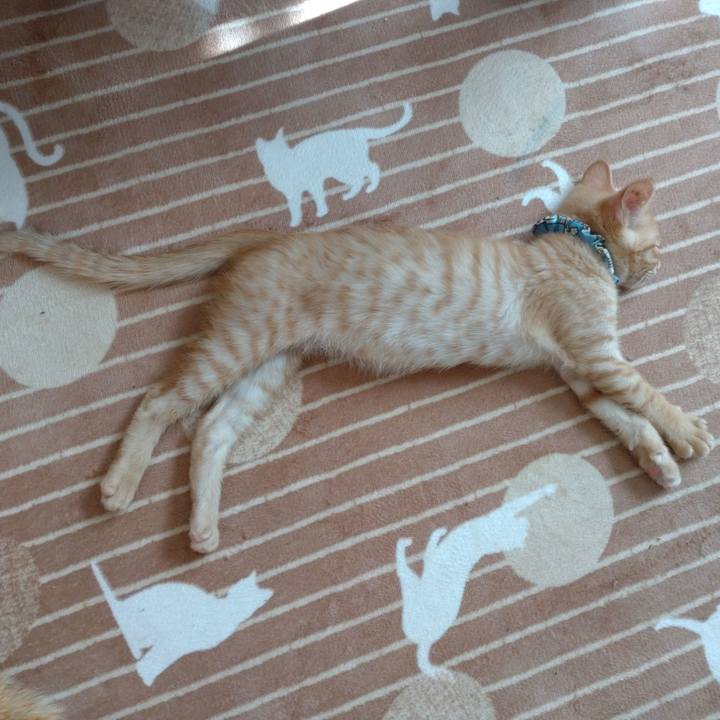 32383d14 b394 4412 91d9 1c3e60d2d62f 1670377993934