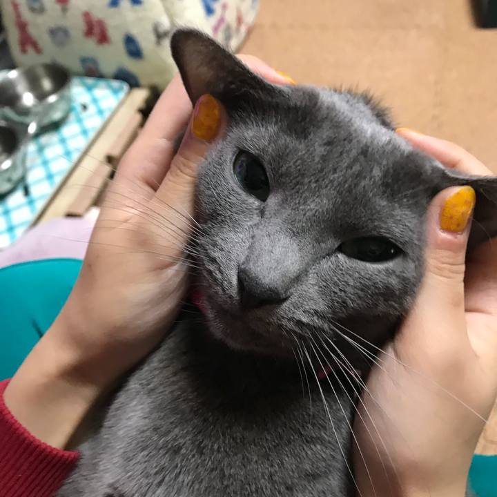 32387866 726e 4a4e 81b1 4ea2d4179449 1521624405730