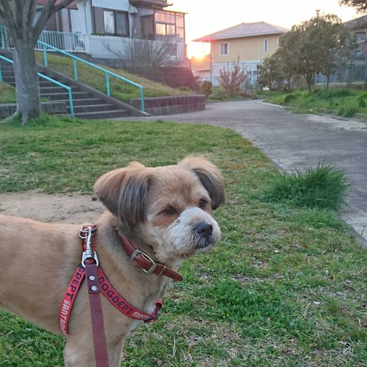 3238b87e 1a72 4e8a b55c 37b8a526ef1c 1521888154931