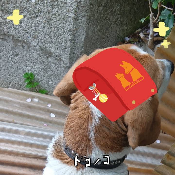 3238cecd 3e91 4f4d 8fc0 9123053f2bdc 1744283914703