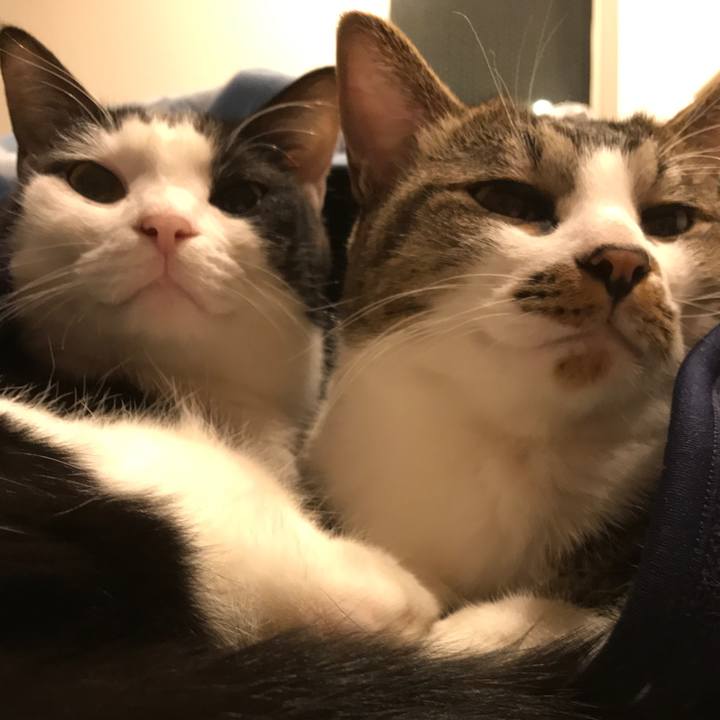 3238dd59 2b37 49c8 b0d8 dd27ab7a44d2 1511096702001