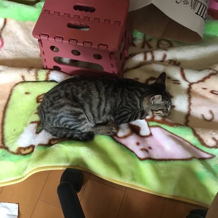 3238e803 b25e 43f7 8e50 be5434d99cca 1536805229493