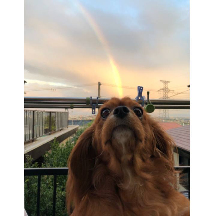 3238f7e6 95f3 47a5 a684 ae2c1efe7624 1564141489582