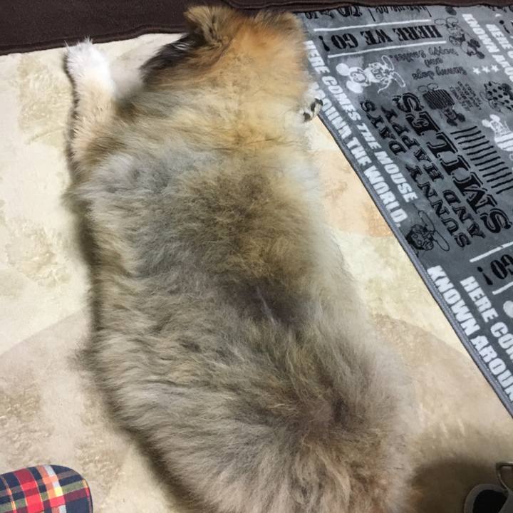 3238ff29 daf6 47fb b15d f560b01a6e36 1567347008521