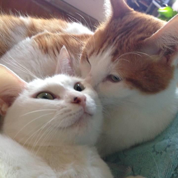 323911c1 c697 4126 ad05 b09debdc087f 1508104802766