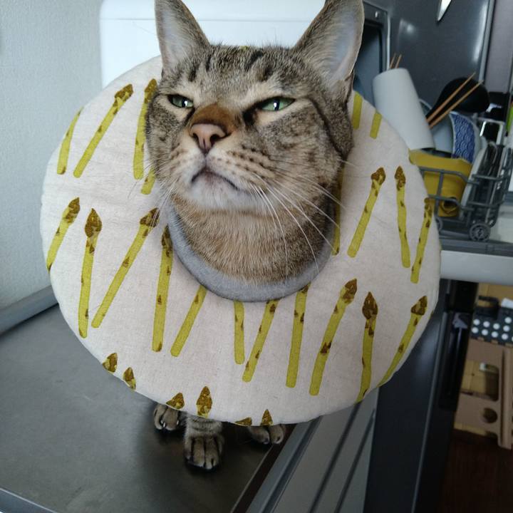 32393f76 928d 4916 b35d acd46d3bc0e9 1725061722700