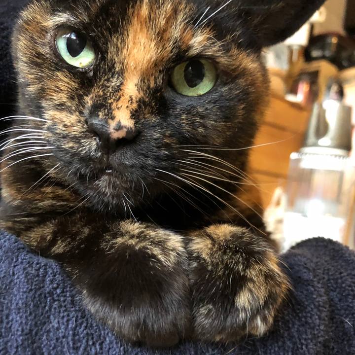 32394d1b 6527 4de9 a9d9 20e57778058a 1642212403966