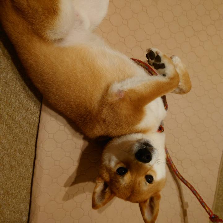 323951d6 12b1 4e18 9361 31583ca97256 1758094536554