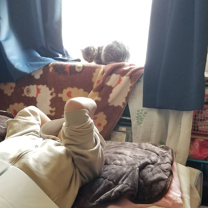 32396157 e66b 4b5e acf6 3ebe7444a269 1679840349992