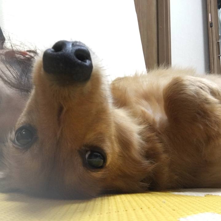 32396316 37c3 4c74 bdb2 ac881d83ebcf 1530102590104