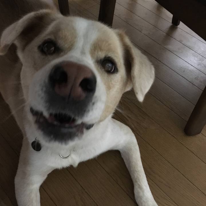 323974fa 366b 438c 9ee2 edd04b2b5af4 1539772013519