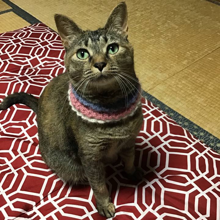 32399975 3567 4b5e bae0 bd5719e459b8 1626349538416