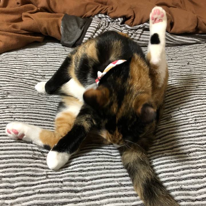 3239fa90 9401 4469 afe3 9eddabb9353a 1559904509061