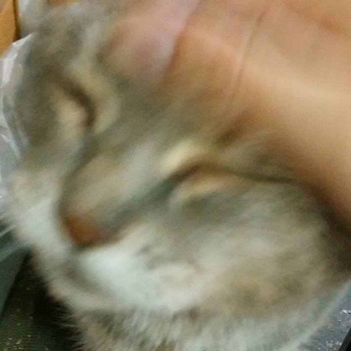 323a057f 1605 4bde b56b 47cb0a229a81 1591779684616