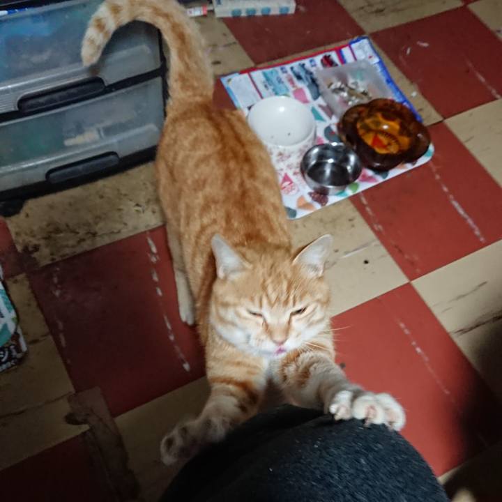 323a1d55 b543 4f55 b203 8bb9f96abe2c 1587502294253