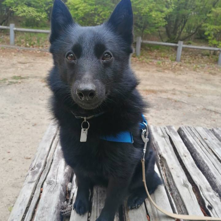 323a4bd0 e4af 4ae9 8753 4234f524b4ac 1619823993682